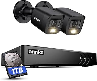 ANNKE E200 CCTV Camera System, 4 Channel 3K Lite Surveillance DVR with 2x 1080p Dual-Light Cams and 1TB Hard Drive, Smart Human & Vehicle Detection, Color Night Vision, IP67 Weatherproof