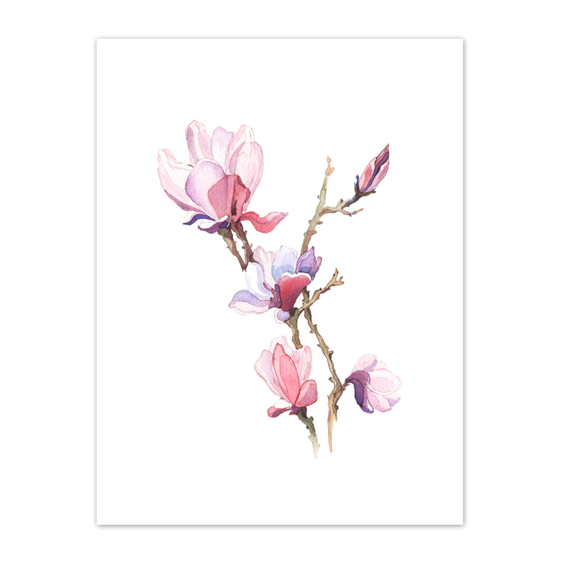 Wee Blue Coo Flower Magnolia Watercolour Art Print Canvas Premium Wall Decor Poster