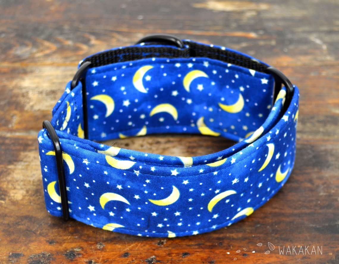 Collare per cani martingale: Nightfall, fatto a mano in Spagna da Wakakán