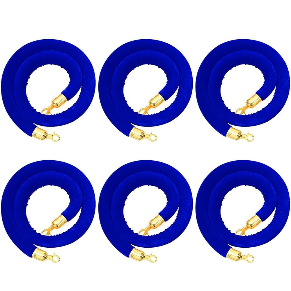 Cordes de guidage en velours bleu pour canaliser les foules sans stress