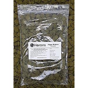 HERONS Spirulina Algae Wafers [200g] TROPICAL FISH FOOD Pleco Catfish Shrimp Snail