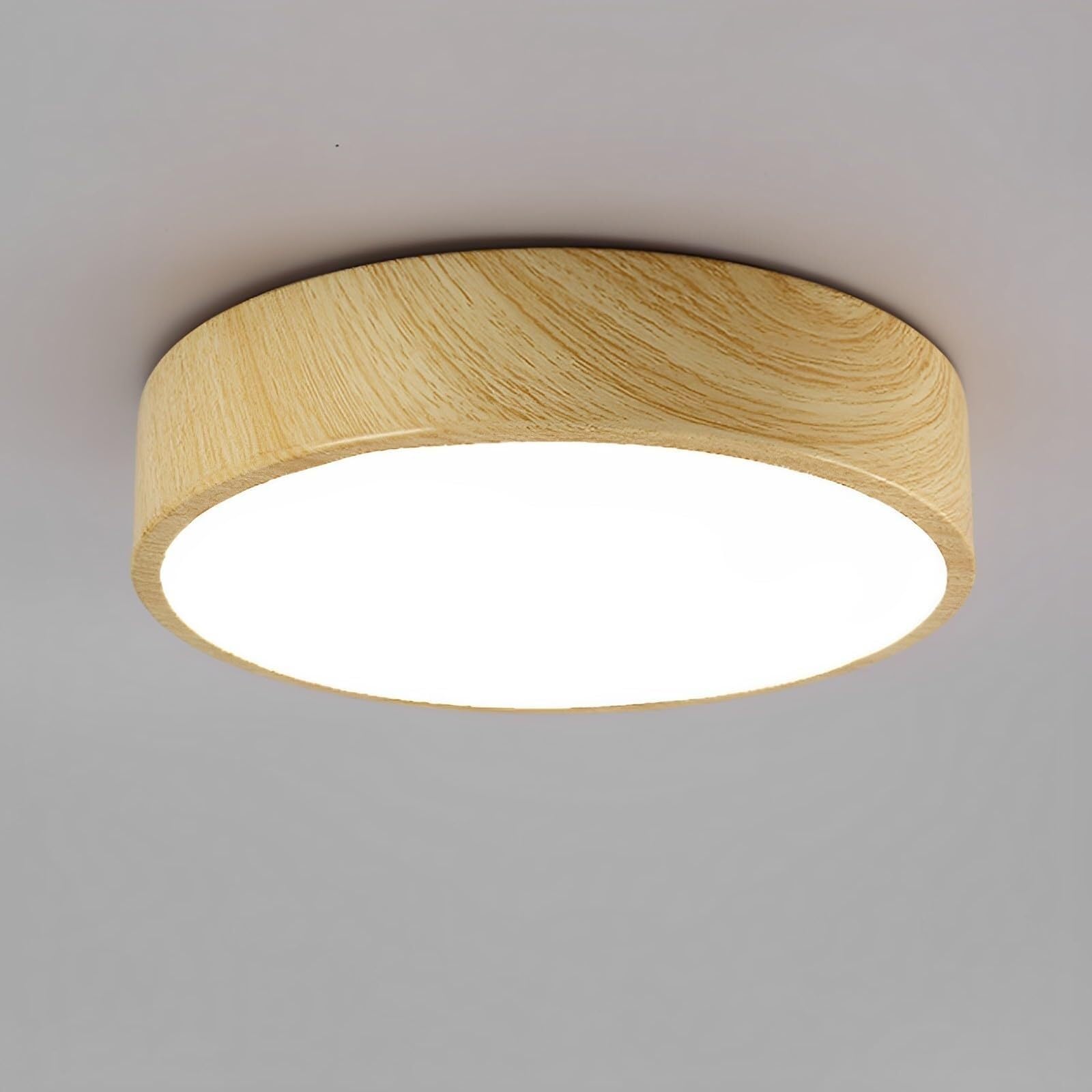 LYOUAE Modern Acrylic Ceiling Light Minimalist Ultra-Thin LED Ceiling Lamp