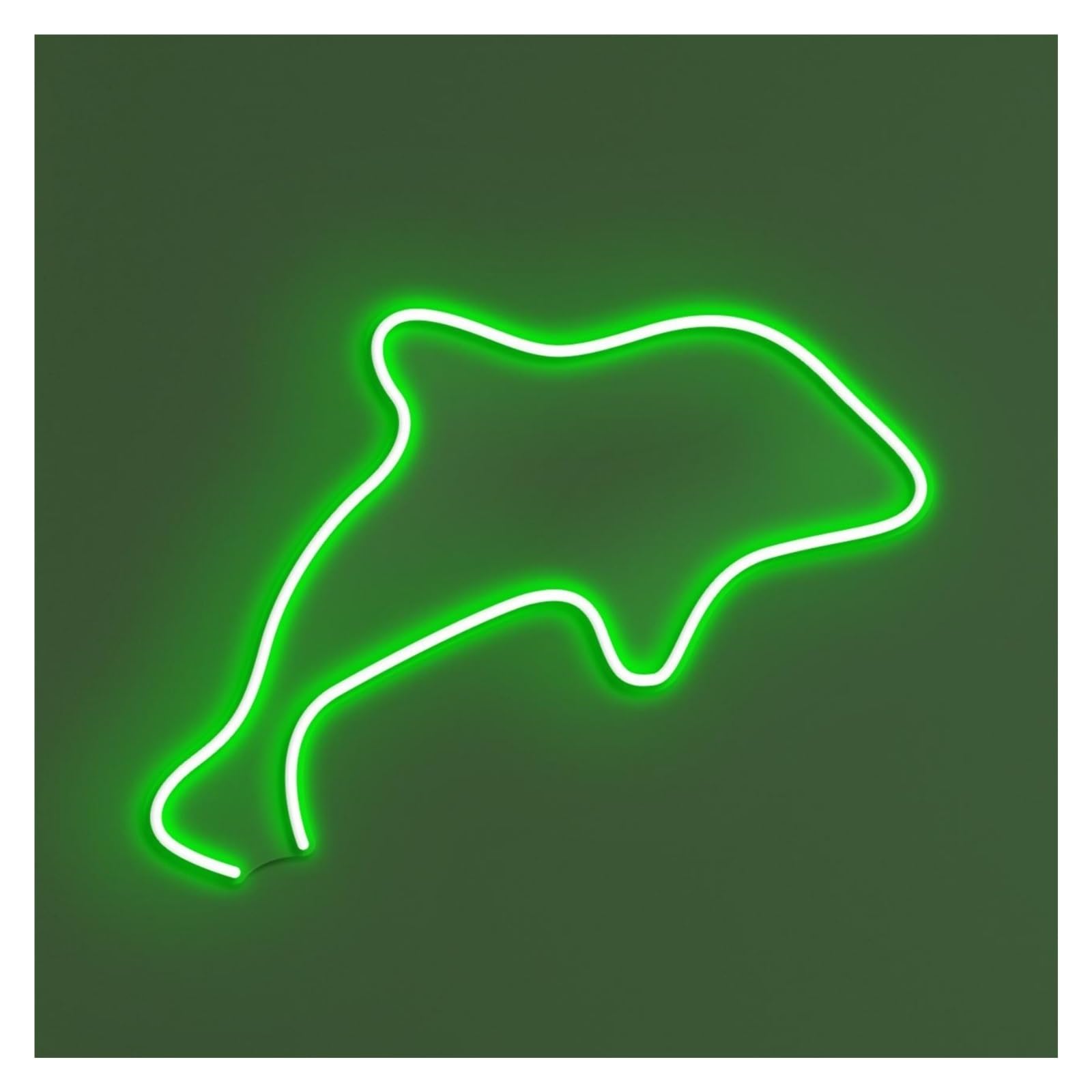 RONGCH Hanging Art Signs Dolphin Neon Sign, Suitable for Ocean Cafe Decor with Brightness Adjustable 30cm(Green)
