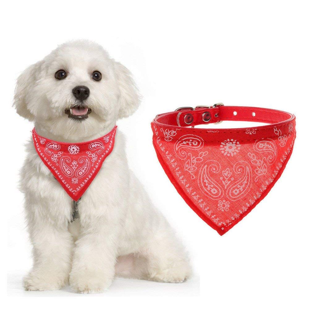 PSK PET MART Leather Adjustable Scarf Cum Neckerchief Collar for Dog/Cat/Puppy (Red) (B085RYJ42G) Amazon Price History, Amazon Price Tracker