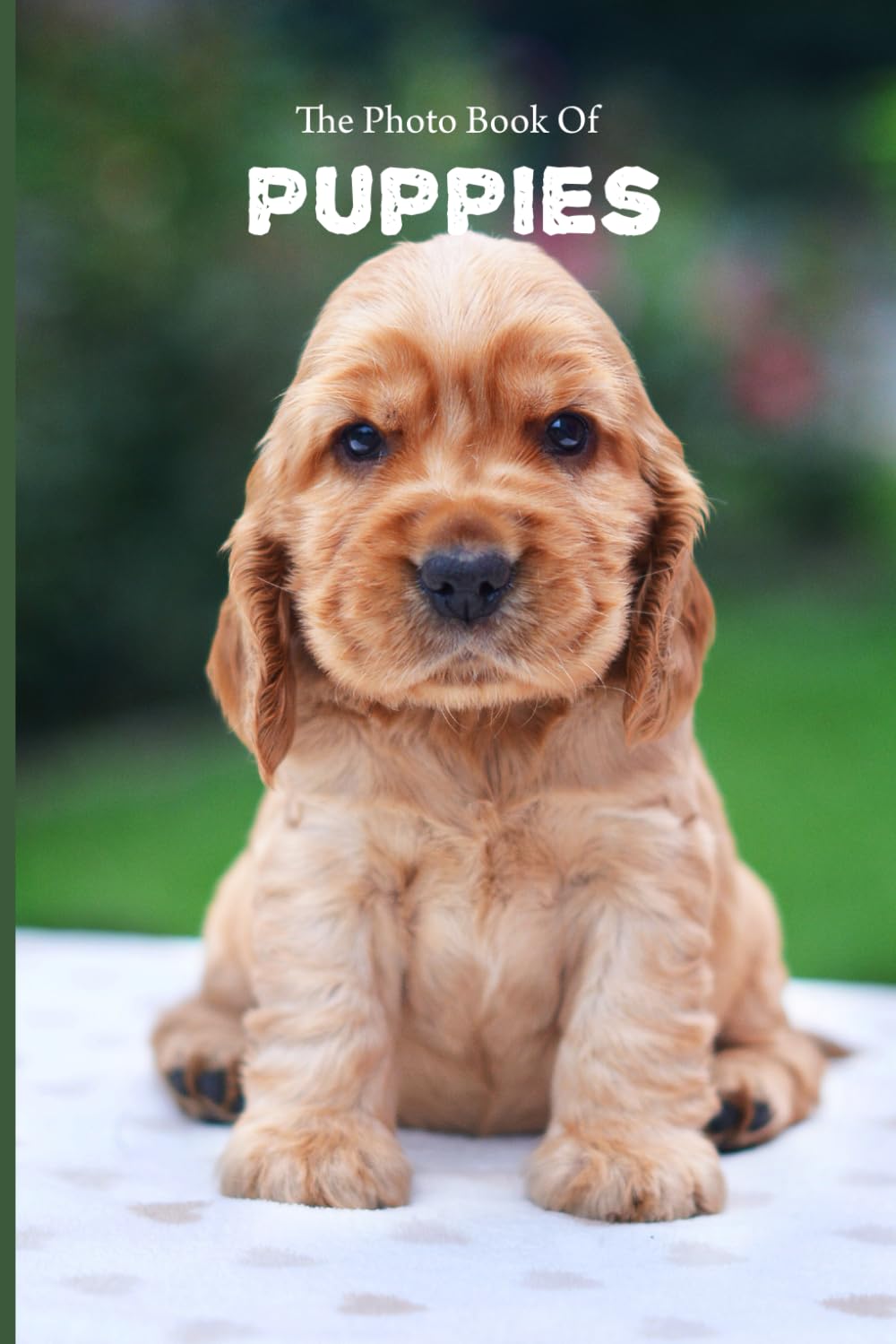 The Photo Book Of Puppies: Cute Photographs Of Puppies For People Suffering With Alzheimer's Or Other Forms Of Dementia