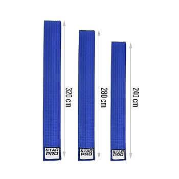 Starpro Martial Arts Grading Belt' | Sports - Compare Prices For The