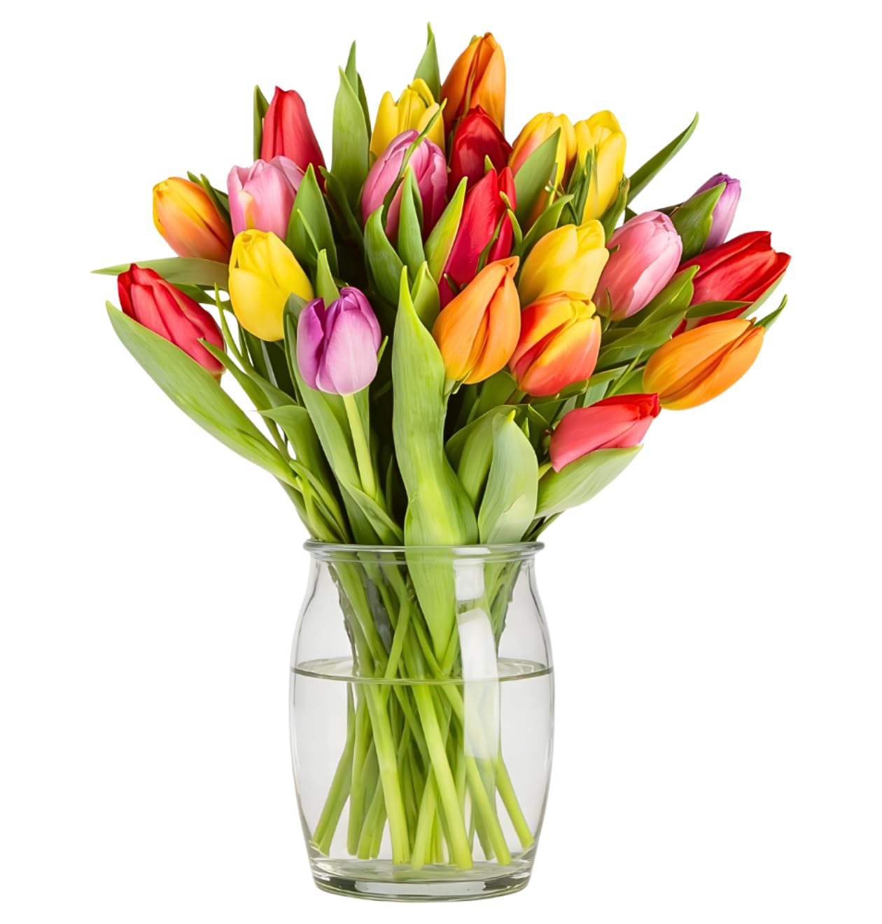Blume Ideal Blumenstrauß | 40 bunte Tulpen | Ø 40–50 cm | Echte Tulpen für Hochzeit & Deko | 7 Tage Frischegarantie | In verschiedenen Mengen