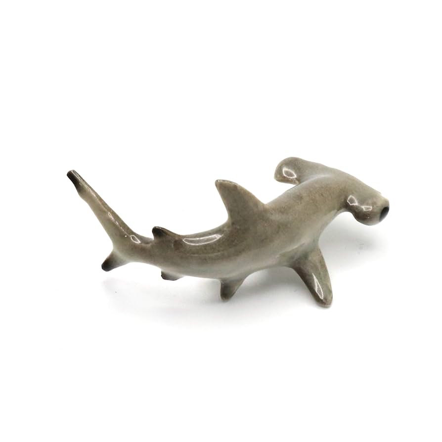 リトルシャーク DSC_0127__87358.1699315466.386