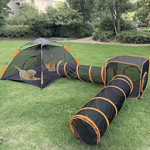 Maison de jeu pour chat extérieure amovible et modulable