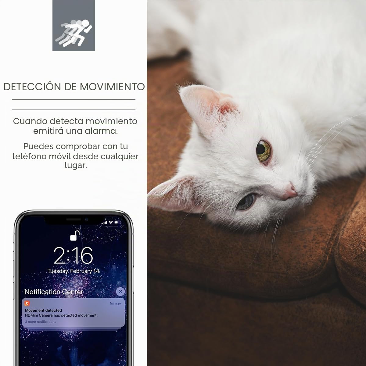 Pelay Reloj de pared WiFi cámara inalámbrica niñera Cam 1080P grabadora de vídeo | Detección de movimiento, grabación en bucle, seguridad para el hogar para interiores