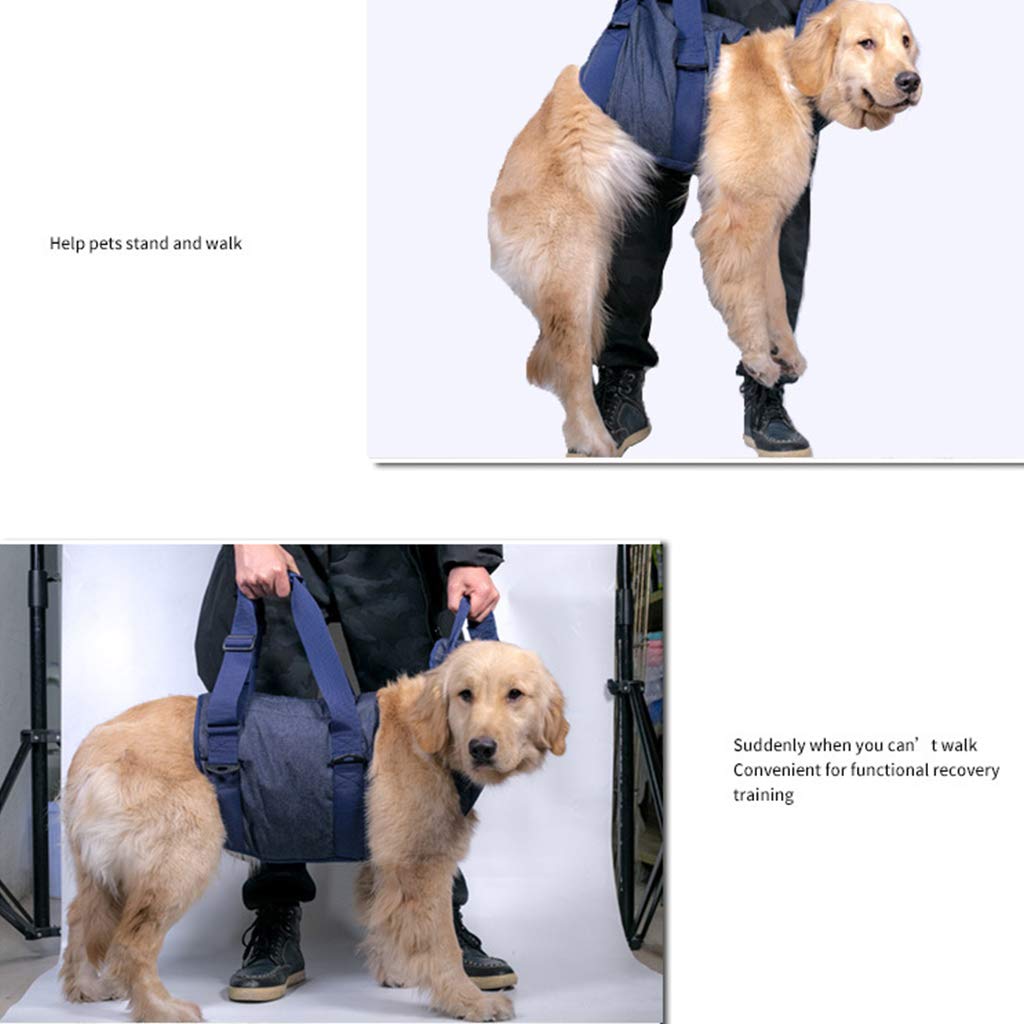 Arnés para cachorros con chaleco acolchado para perros mayores, fácil control, transpirable, arnés de malla para todo tipo de clima, para perros grandes