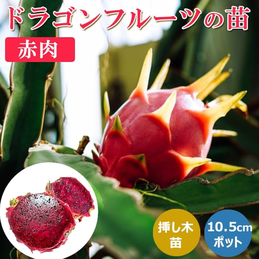 61-x8YUJabL._AC_UF1000,