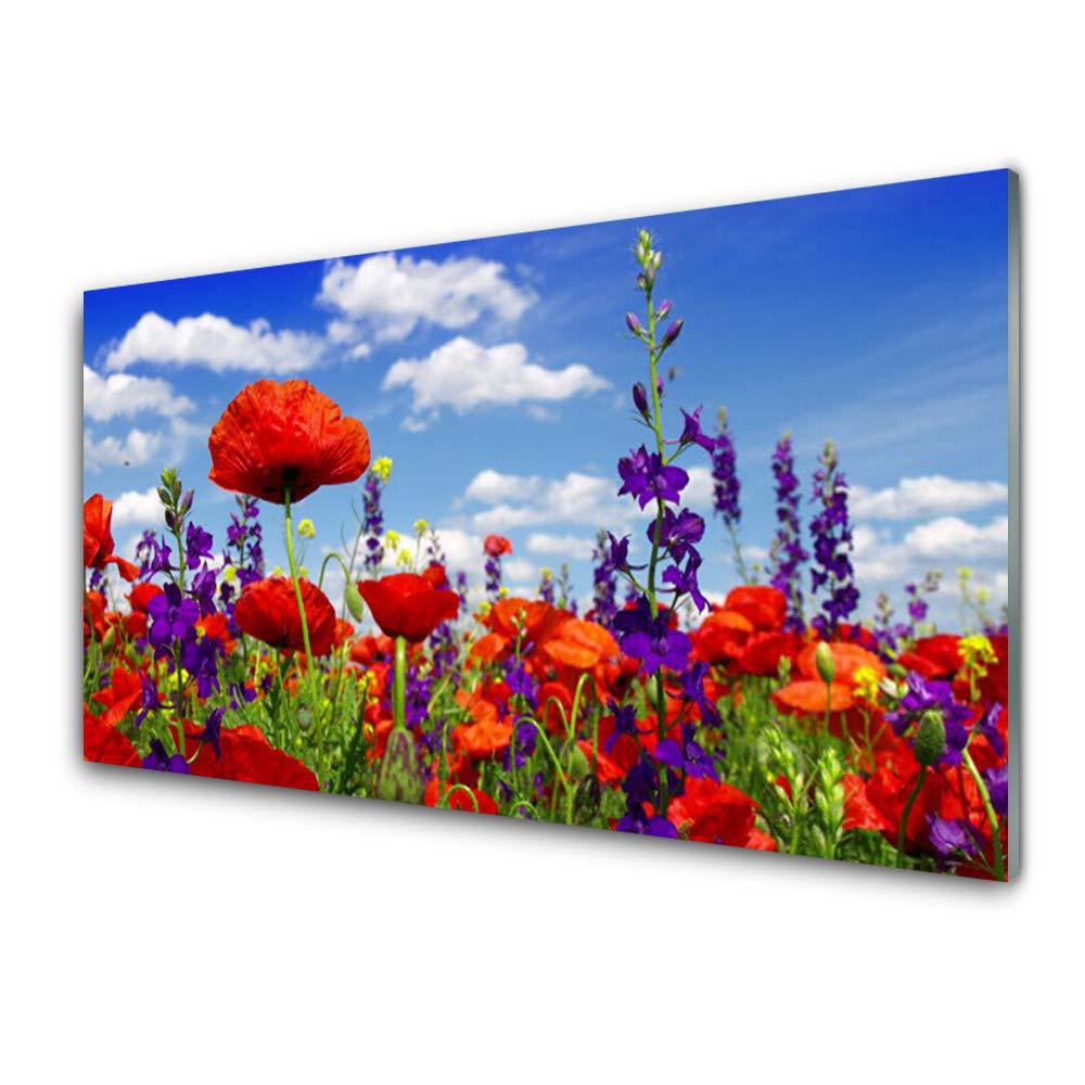 Tableau en plastique imprimé 100x50 cm avec 4 crochets motif tulipes