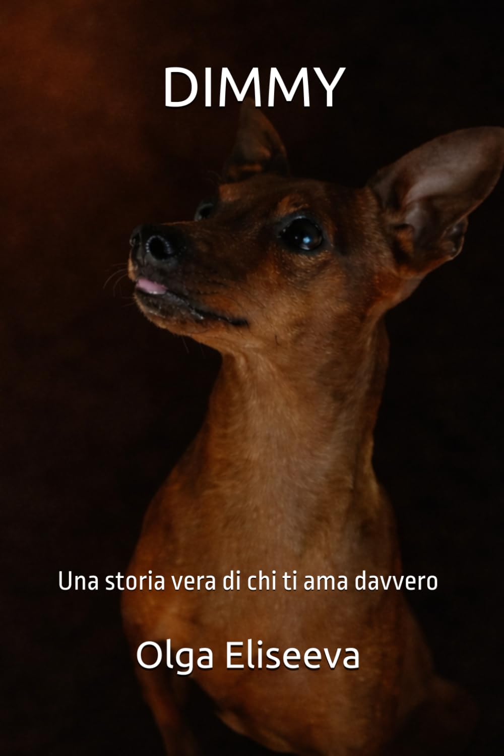 DIMMY: Una storia vera di chi ti ama davvero