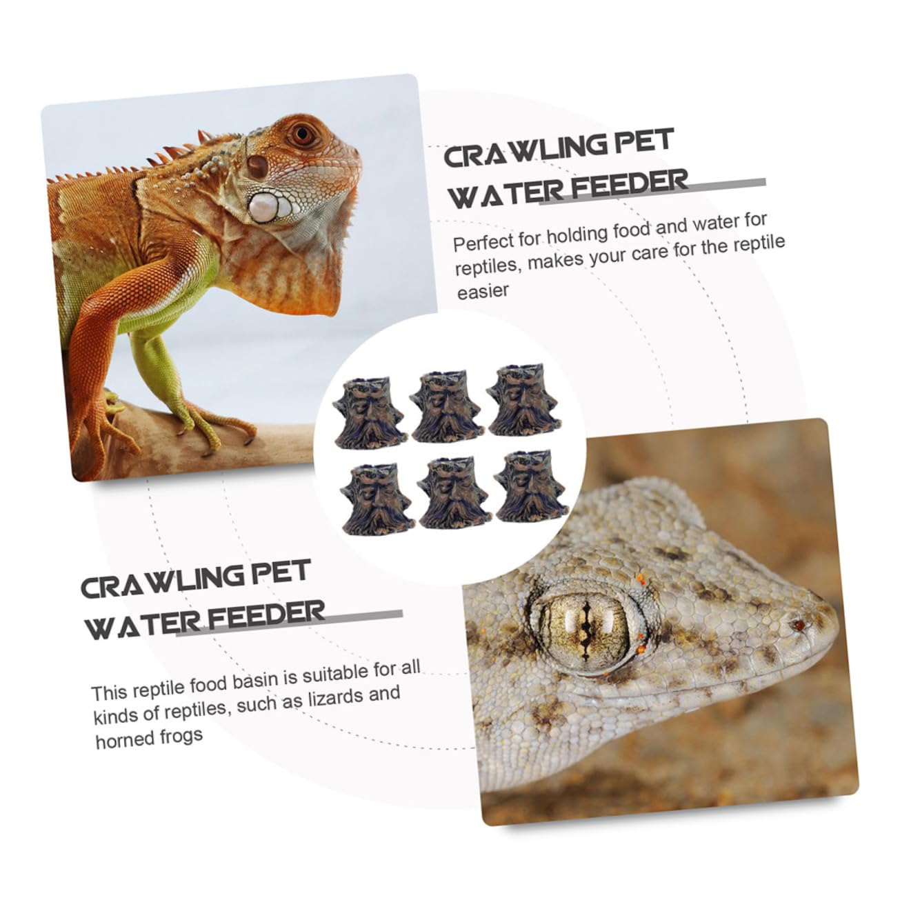 VANZACK 12piezas Tazón De Alimentación para Reptiles De Comida y Agua Accesorios para Terrario para Tortuga y Material De