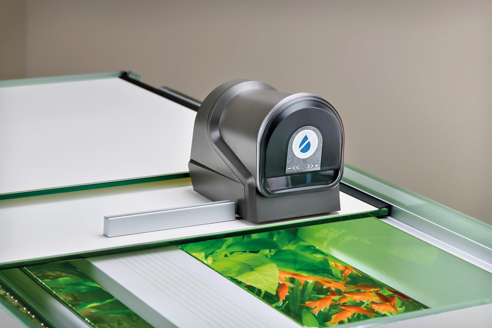 OASE 42720 FishGuard, automatischer Aquarium Futterautomat für Süß und Meerwasser, programmierbar, batteriebetrieben, 0,125 l Futterinhalt