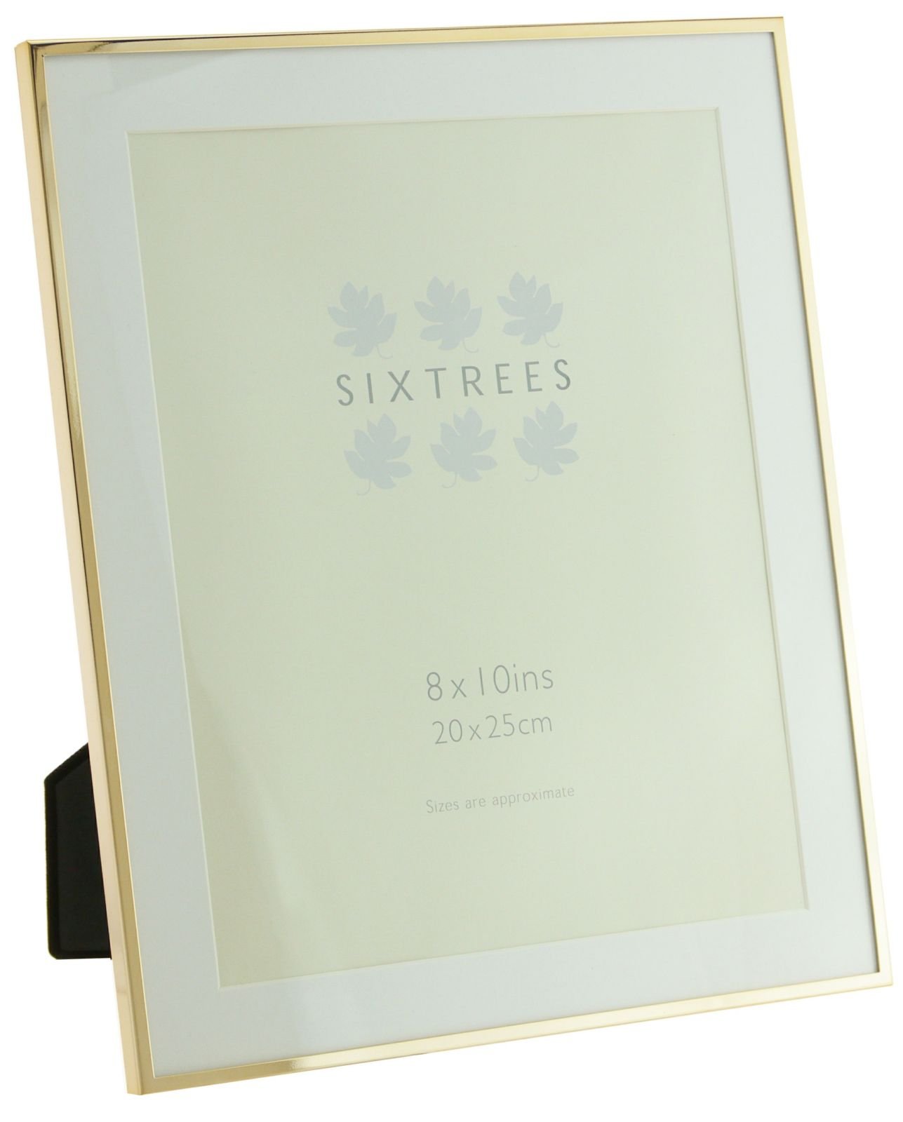 Sixtrees Gold Rose Narrow Profile Photoframe With A Mount For A 10"X 8" Picture - Park Lane