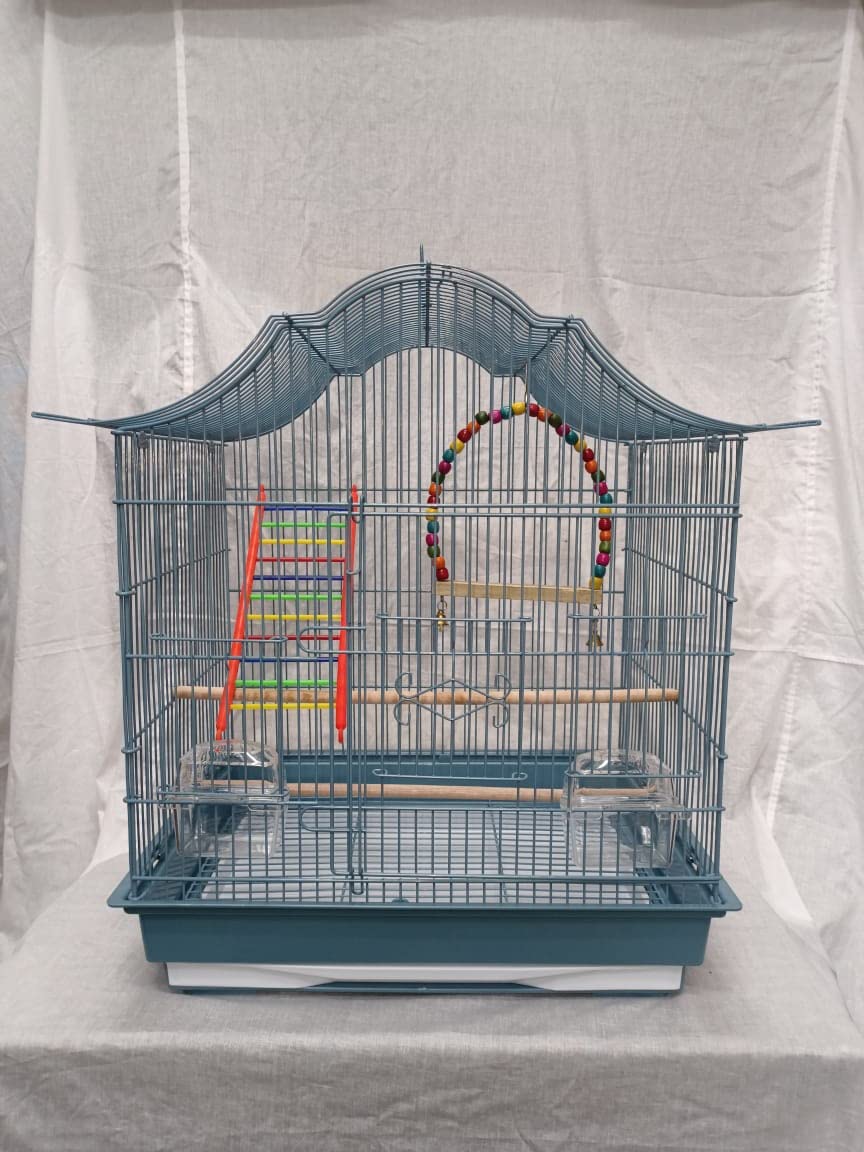 CENTRAL FISH AQUARIUM Bird Cage For Budgies,Finches,Love Birds,With Cuttlefish Boneholder,Cuttlefish Bone,2 Wooden Perch,2Cups,Free Swing &Ladder(48X33X54 Cms)Colors May Vary (B0BLJYB7D5) Amazon Price History, Amazon Price Tracker