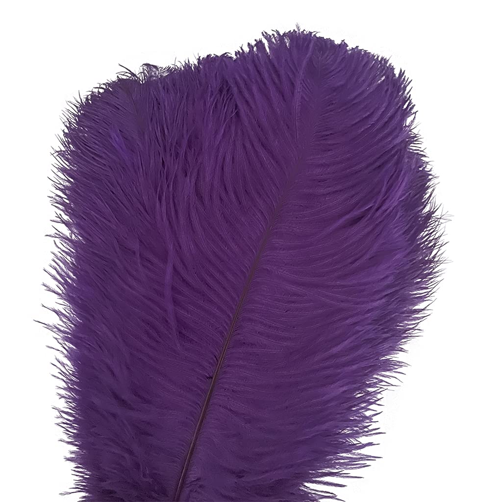 LONDGEN 20pcs Natural Ostrich Feathers 10-12 inch(25-30cm) Plume for Wedding Decoration Costume Customization and Halloween Party Carnival (Purple)