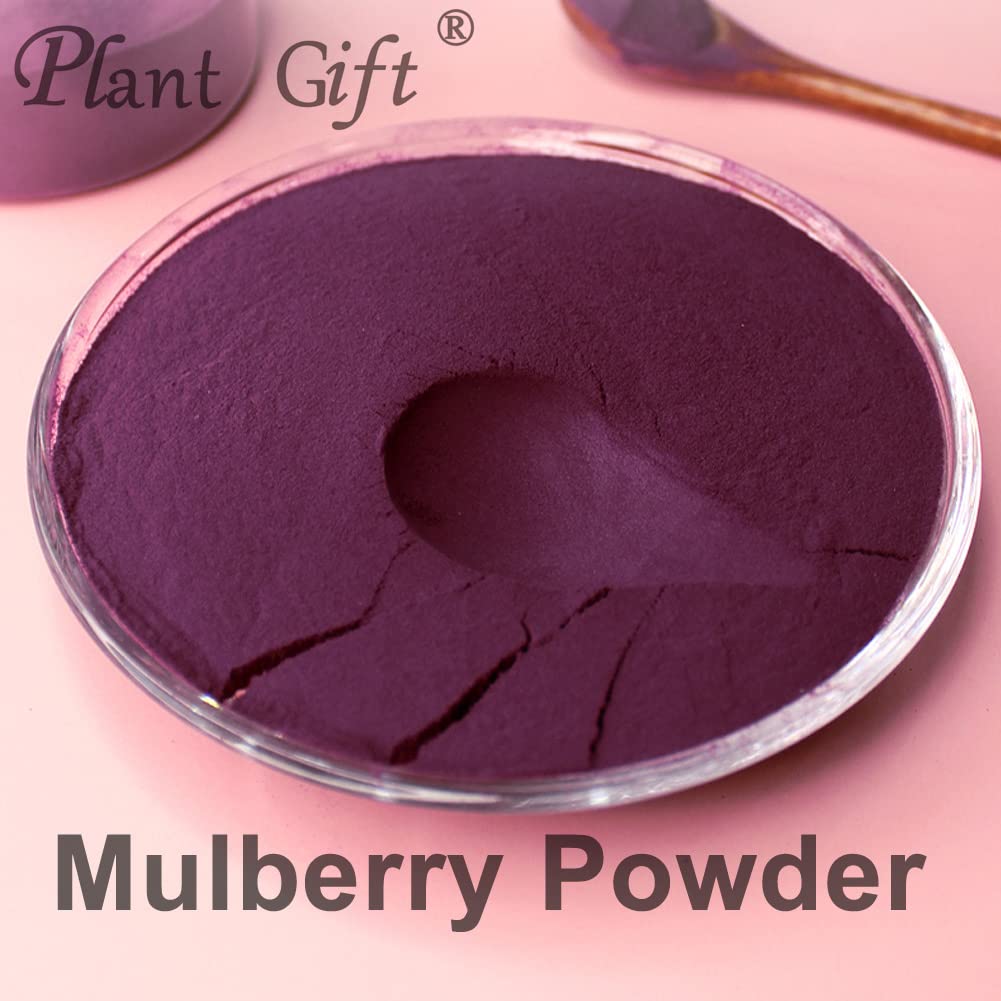 Plant Gift 100% Pure Mulberry Powder 桑葚粉 Polvo dietético natural, excelente sabor para bebidas, batidos y bebidas, polvo no GM - sin relleno, sin aditivos, yogur y más 100g / 3.25o
