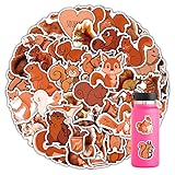 Zoom IMG-1 auceko set di 50 adesivi Zoom IMG-1 auceko set di 50 adesivi