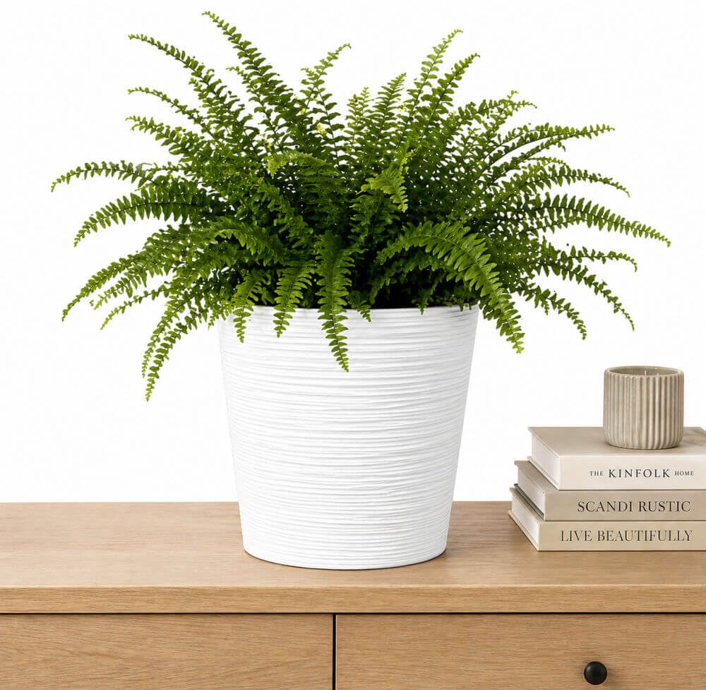 Gardening Naturally Fora Flowerpots, Stylish and Durable Plant Pots for Indoor and Outdoor Use (Round Pot 25cm - White) — image 1