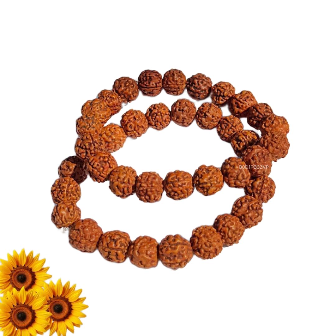 5 mukhi Rudraksha bracelete divine healing, 10mm (pack of 2) Original Rudraksha Bracelet for Men & Women (Free Size) Original, Color Brown, 2 no. (B0D1FQ3ZVP) Amazon Price History, Amazon Price Tracker