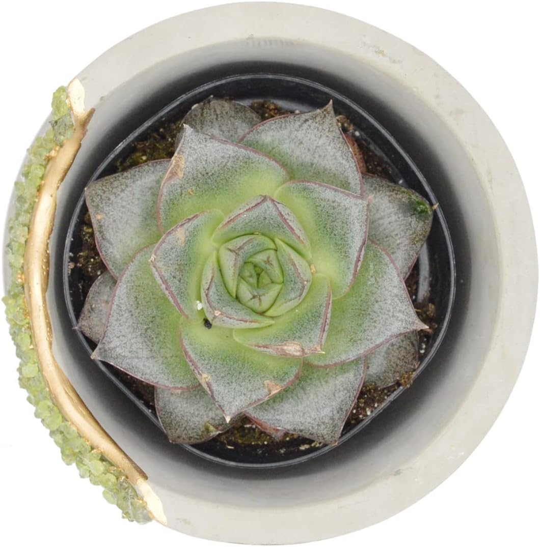 4 Inch Crystal Plant Pot with Saucer - Cement Geode Planter - Concrete Pots for Plants - Modern Succulent Pot Indoor - Unique Air Plant Holder - Candle Holder - Small Plant Home Decor (Green Peridot)