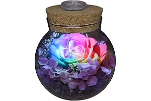 Remarkable Arrangements: Captivating Preserved Roses with Mood Light