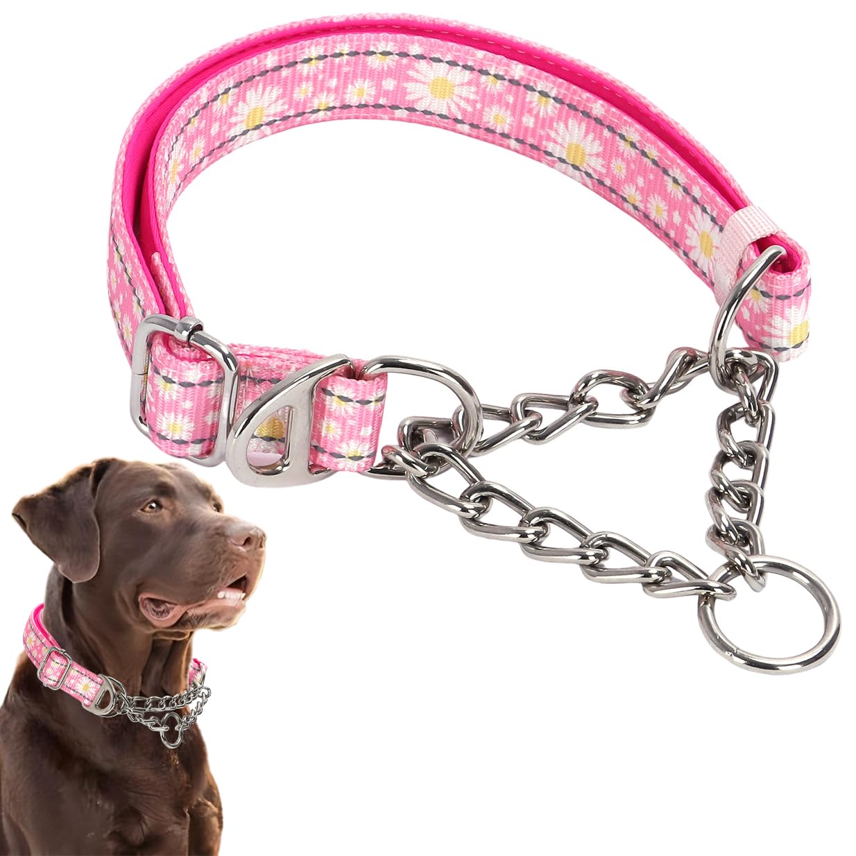 Martingale Collar for Dogs Reflective Nylon Dog Chain Collars Adjustable Heavy Duty Martingale Collar for Training Medium Large Breed Dogs