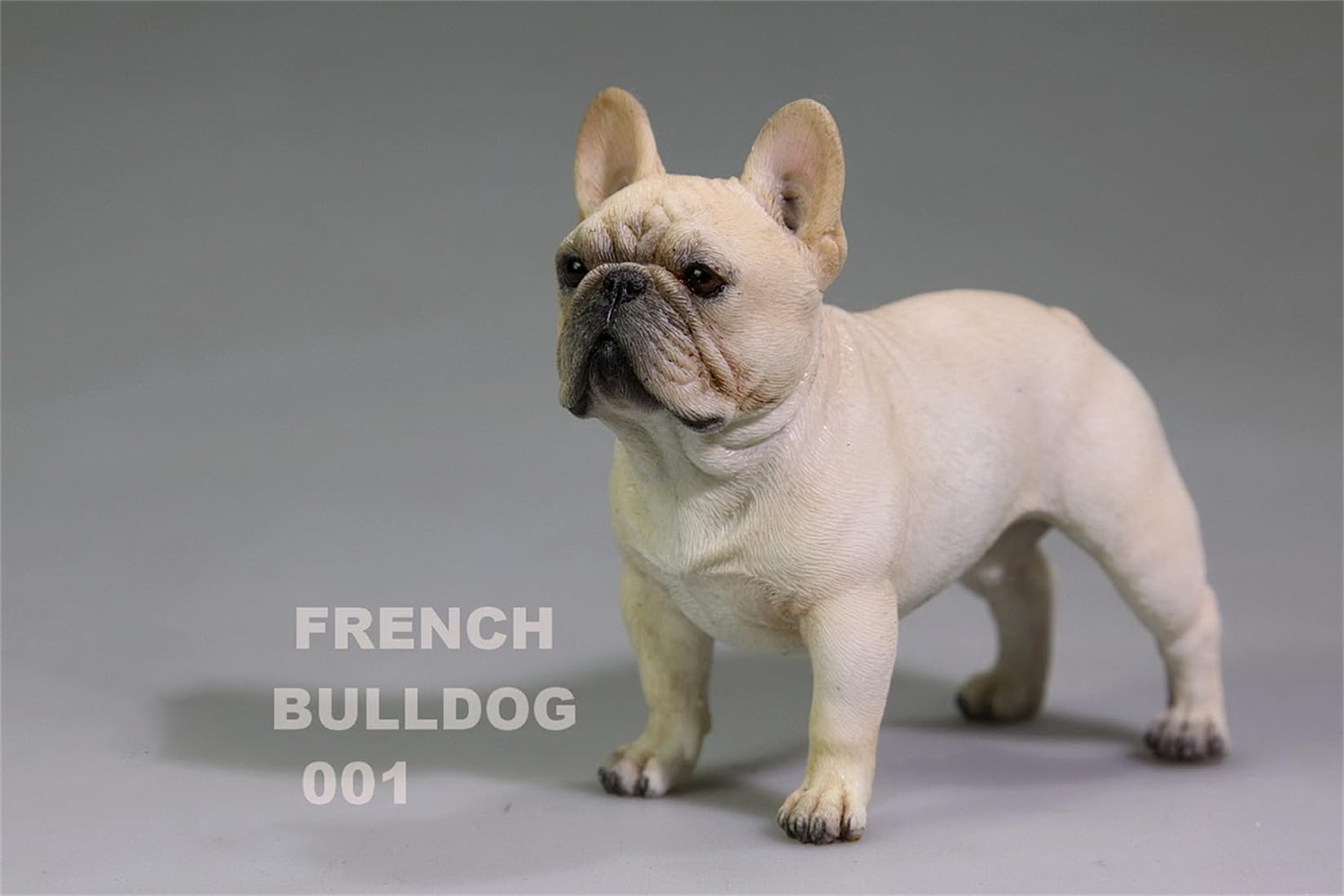 Amazon.co.jp: 1/6 サイズ フレンチ·ブルドッグ 可愛い 犬 動物 リアル