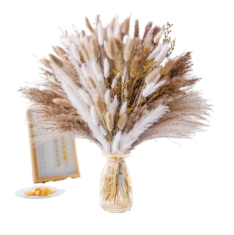 Pampas Grass Large Natural Pampas Bunny Rabbit Tails Dried Bouquet miniatura 2