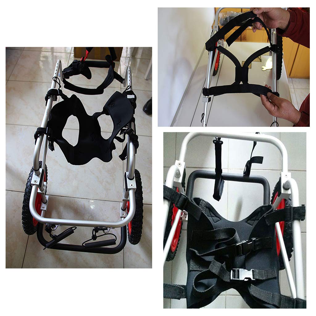 Réglable Fauteuil Roulant pour Chien/Animaux Handicapés，Animaux De Compagnie Poids Léger Facile à Assembler Chariot pour Chien Réadaptation des Pattes Arrière pour Petit Chien(Size:L)
