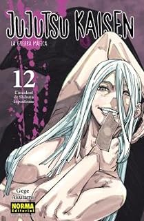 Jujutsu Kaisen 12