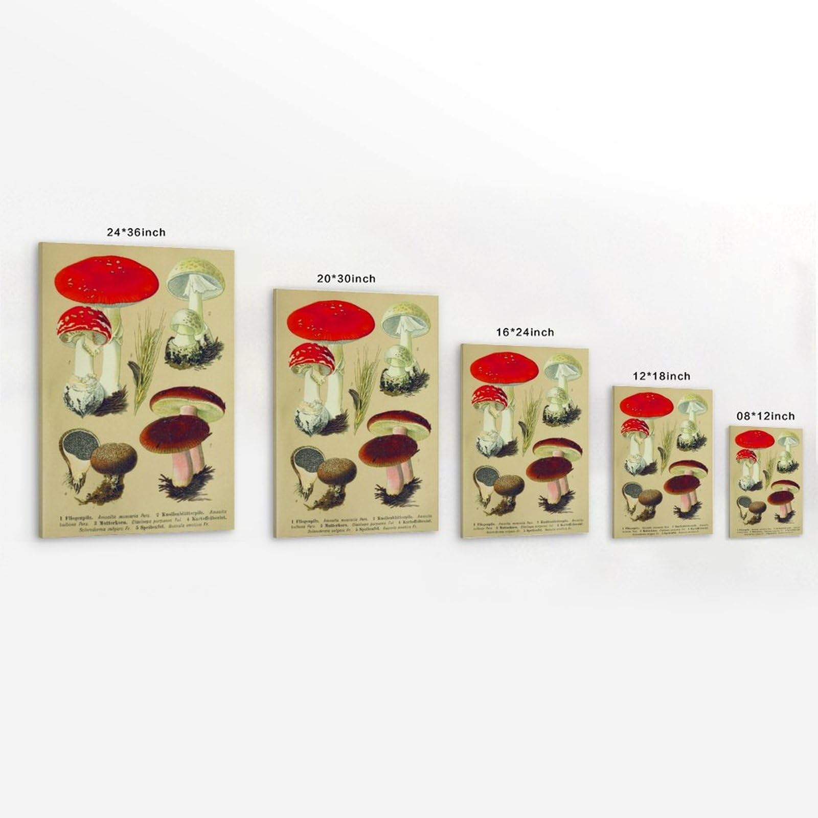 generisch Mushrooms of Central European Modern Canvas Prints, Cuadros Decorativos Para Habitaciones de Niños o Niñas, Murales para Sala de Estar Y Pinturas con Motivos Festivos24x36 Pulgadas