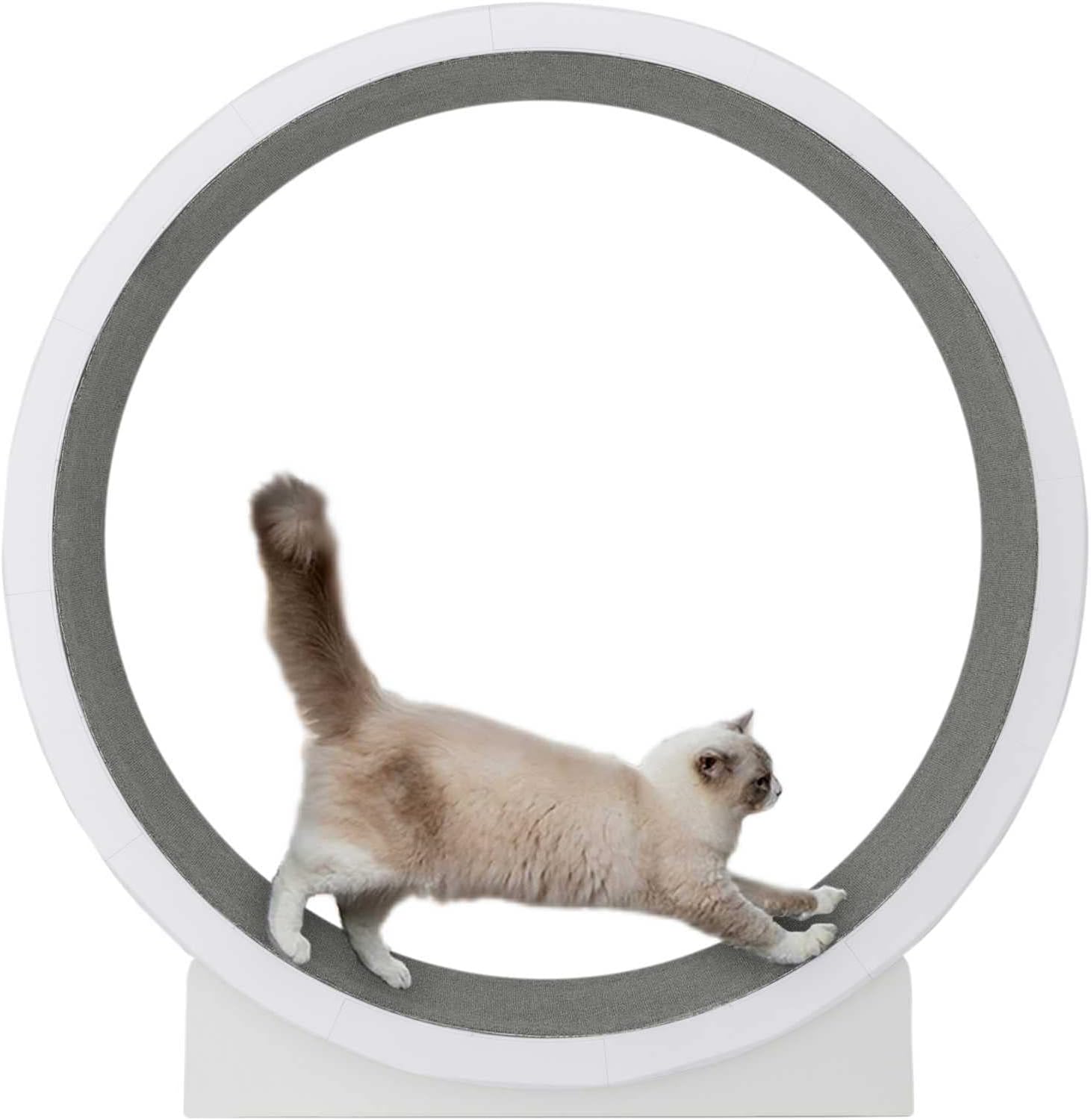 Cat Exercise Wheel, Cat Wheel Exerciser for Indoor Cats, Cat Running