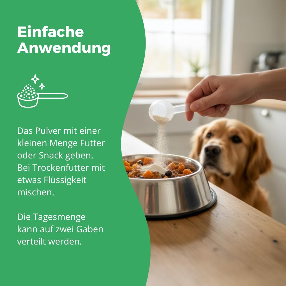 Comfort Pulver – Lindert Stress, Angst & Aggression, fördert Entspannung. Natürliches Beruhigungsmittel für Hunde & Katzen + Tryptophan + B Vitaminen. Ideal für Silvester & Stressphasen. 280g