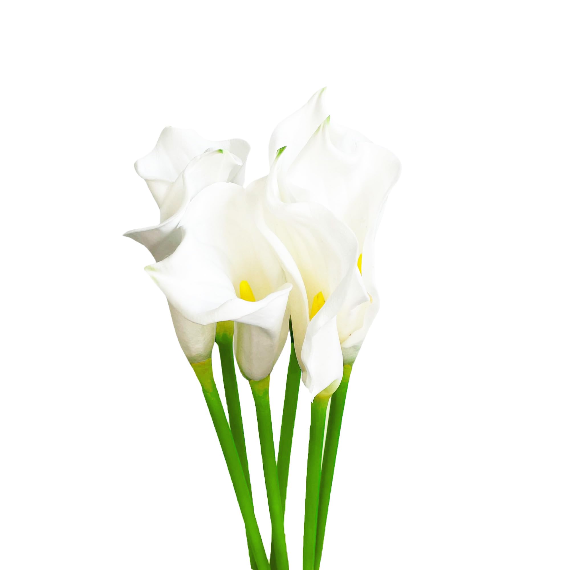 Decor Essentials Artificial White Calla Lily Stems, Set of 6, 65cm Tall