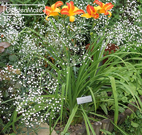 Gardenmate 50-Pack Weatherproof Large Zinc Metal Plant Labels, Height 11.5", Label Area 3 1/2 X 1 1/4" #TOP6