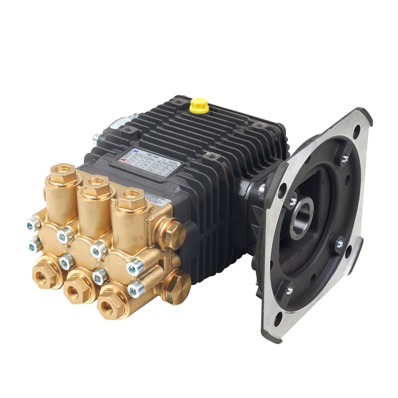 Bertolini TMH 3040: 3000 psi @ 4 US gpm, 1-1/8 in Shaft Pressure Washer Pump