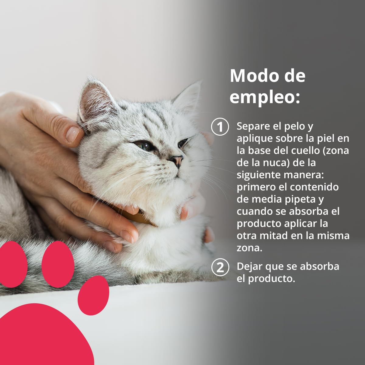 NEO CATS - Pipetas Repelente Anti-insectos para Gatos - Contra Pulgas, Garrapatas y Mosquitos - 30 días de Protección - Con Margosa, Geraniol y Lavandino - Olor Herbal - 2 unidades