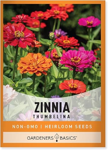 Zinnia Semillas para plantar flores al aire libre pulgar  Paquete de semillas de flores anuales herencia de flores variedad sin OMG semillas de 800