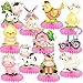 11Pcs Pink Farm Animals Honeycomb Centerpieces Farm Theme Party Table Centerpieces Barnyard Party Honeycomb Decorations Farm Birthday Party Table Decorations for Farm Theme Baby Shower Supplies