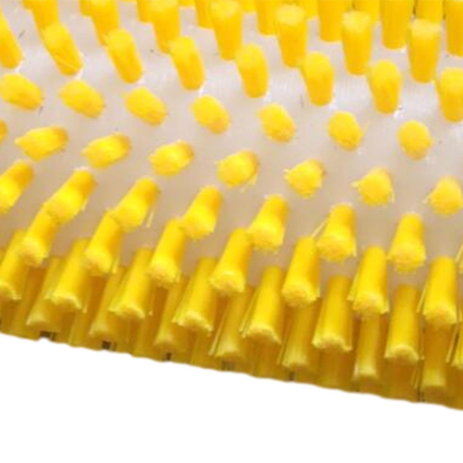 Brosse à Farter Durable