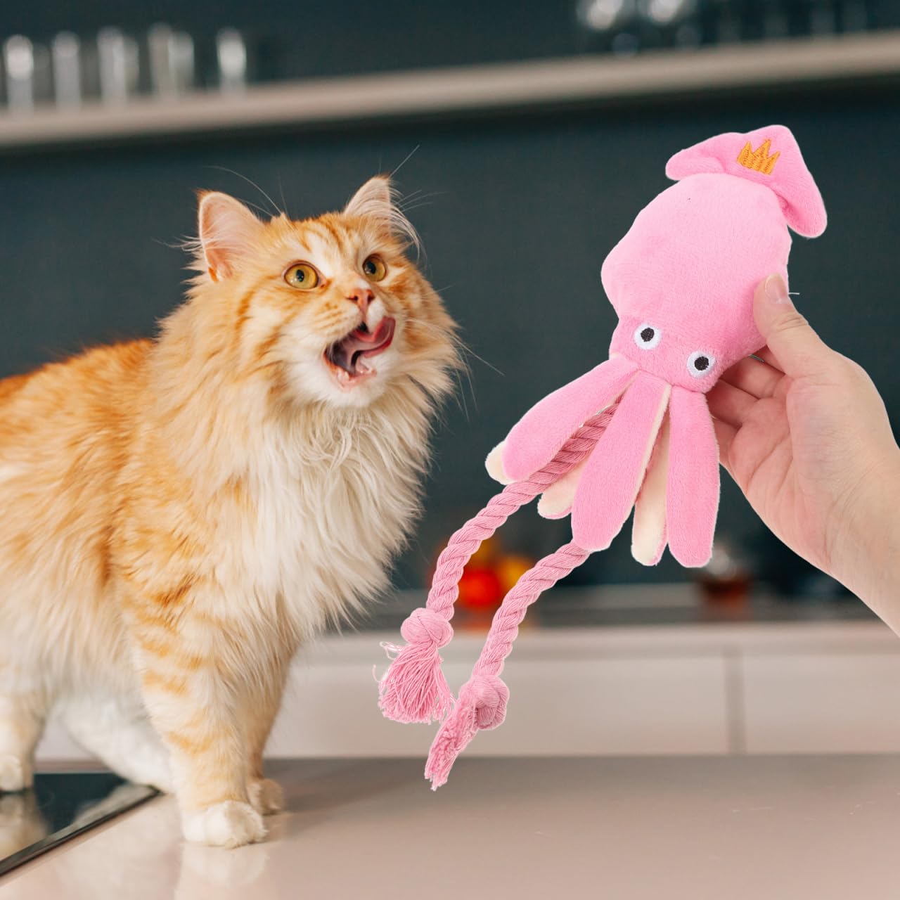 BESPORTBLE Cat Toys - Interactive Plush Octopus Chew Toy for Kittens Safe Cotton Rope Training Aid Perfect for Indoor Play - Image 2