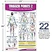 Trigger Point Therapy Chart/Poster Set; Acupressure Charts - Myofascial Trigger Points - Massage Therapy Charts - Muscle Pain Relief Posters - ... Neuromuscular Therapy - Physiotherapy Charts