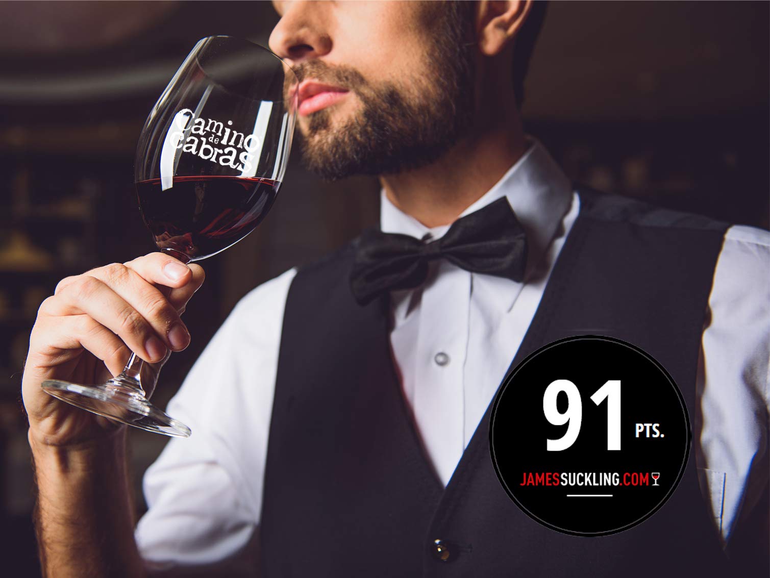 Vino Mencia Crianza - Caja Vino Tinto 6 botella x 750 ml - Vino para Regalar – Vino gallego Premium – Vino Regalo Gourmet – Pack Regalo vino – D.O Valdeorras - CAMINO DE CABRAS