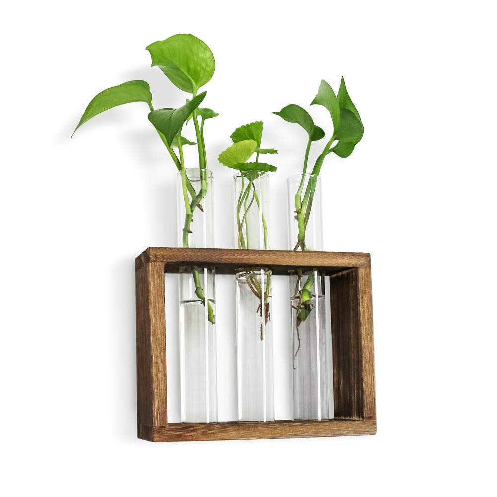 Buy Ivolador Wall ed Hanging er Test Tube Flower Bud Vase op Glass