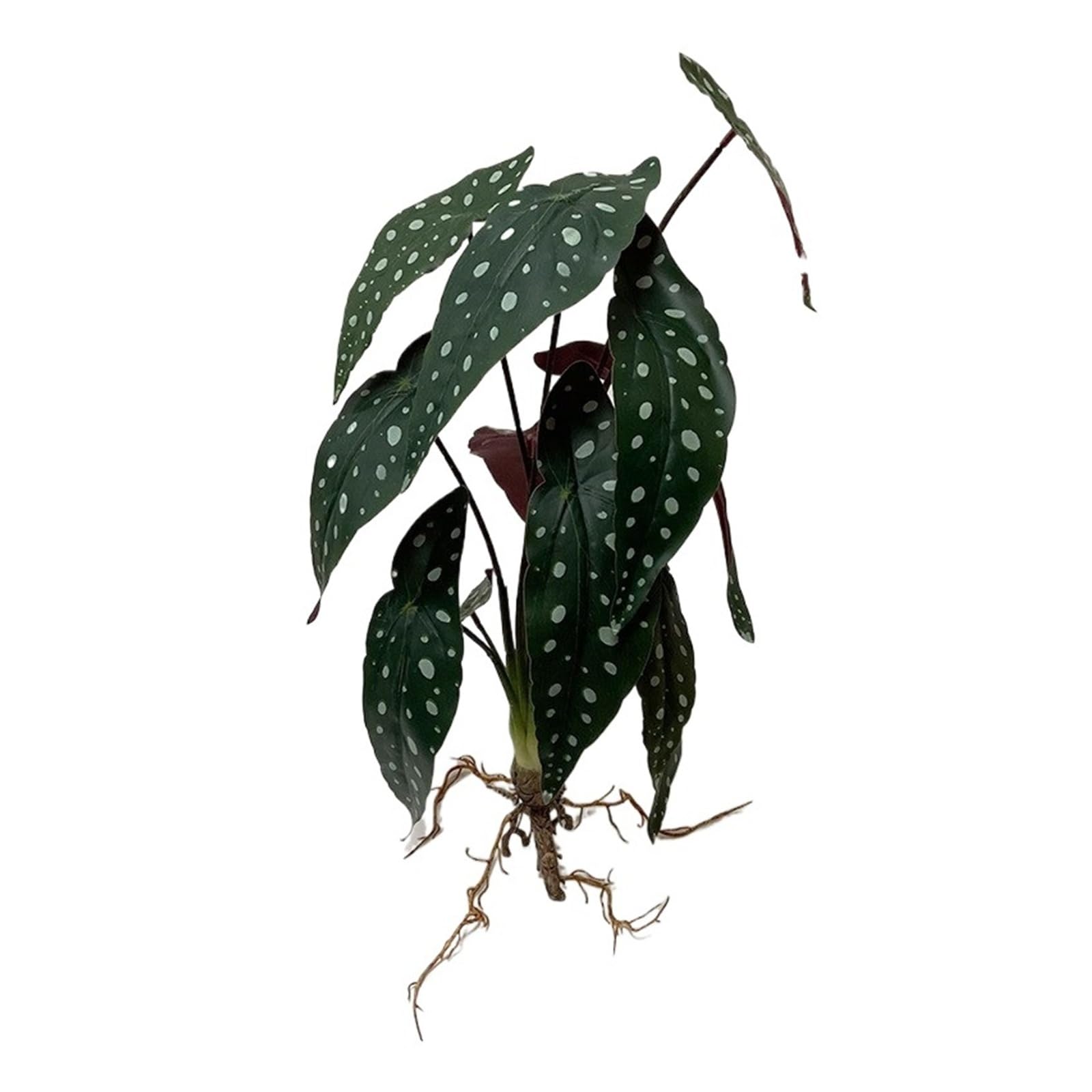 AEJHSIN Artificial bonsai Artificial Flower Fake Plants Green Tree Bamboo Bonsai Outdoor(Color 6)