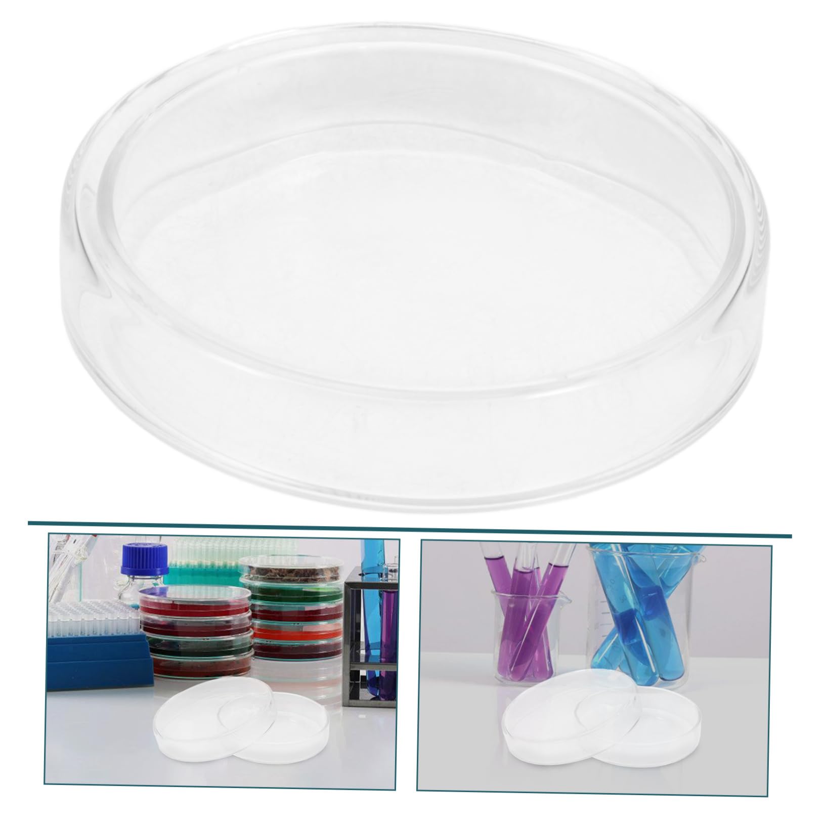 MUCKLILY Glass Petri Dish Cultivation Plate Laboratory Culture Plate Petri Tray Tissue Culture Tray Cell Culture Plate for Laboratory Culture Tray Cell Culture Tray High Borosilicate